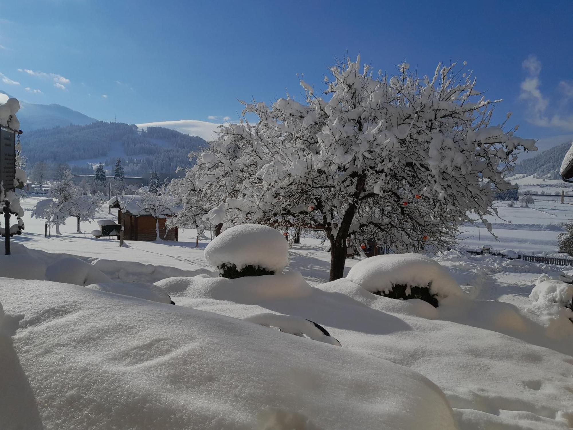 Bauernhofurlaub Sinnhubgut Altenmarkt im Pongau Ngoại thất bức ảnh