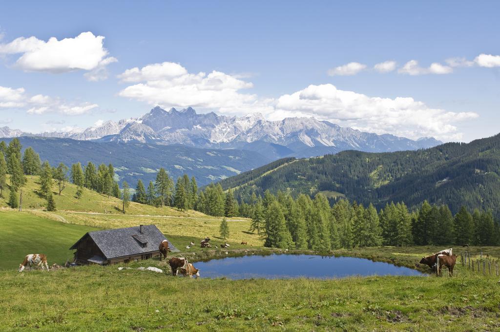 Bauernhofurlaub Sinnhubgut Altenmarkt im Pongau Ngoại thất bức ảnh
