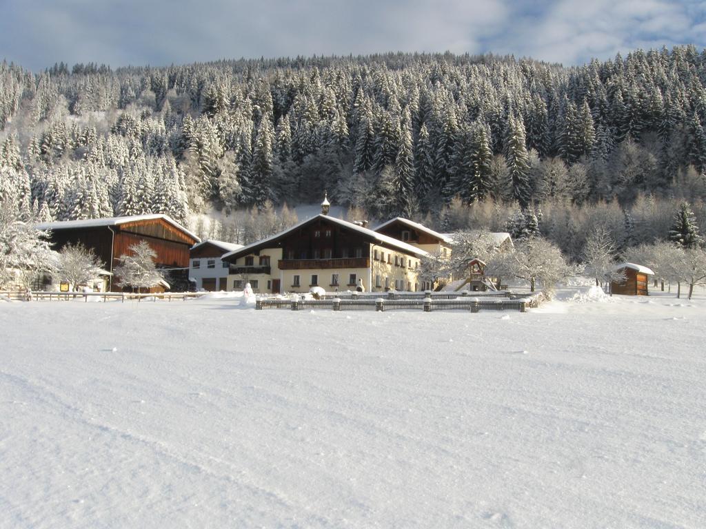 Bauernhofurlaub Sinnhubgut Altenmarkt im Pongau Ngoại thất bức ảnh