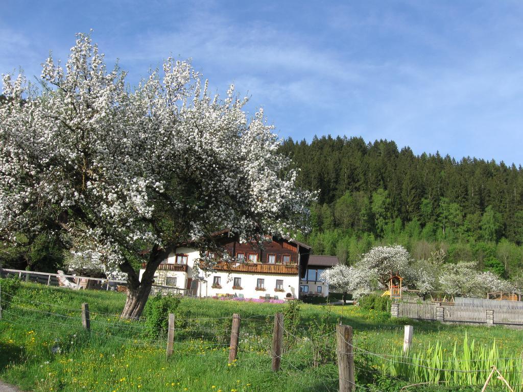 Bauernhofurlaub Sinnhubgut Altenmarkt im Pongau Ngoại thất bức ảnh